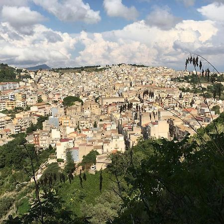 La Domus Di Segesta "Smart Solution" Daire Calatafimi Dış mekan fotoğraf