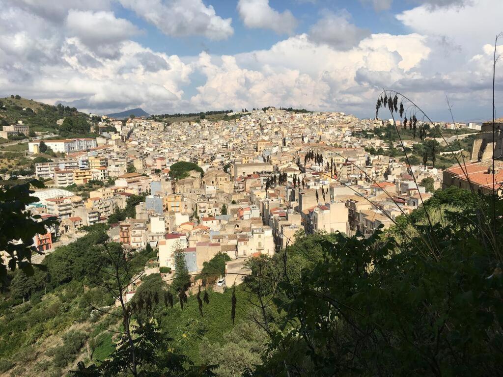 La Domus Di Segesta "Smart Solution" Daire Calatafimi Dış mekan fotoğraf